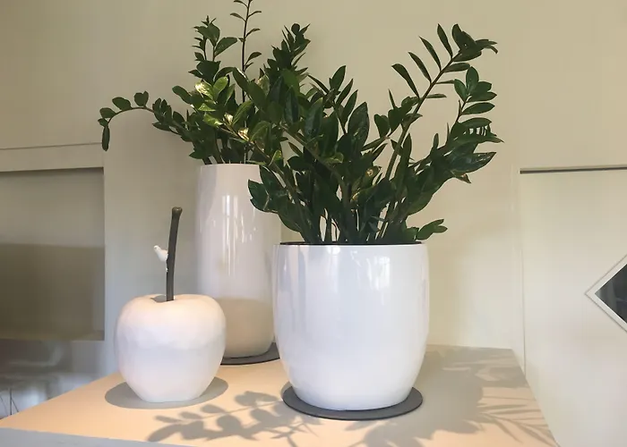 Engel 바트크로이즈나흐